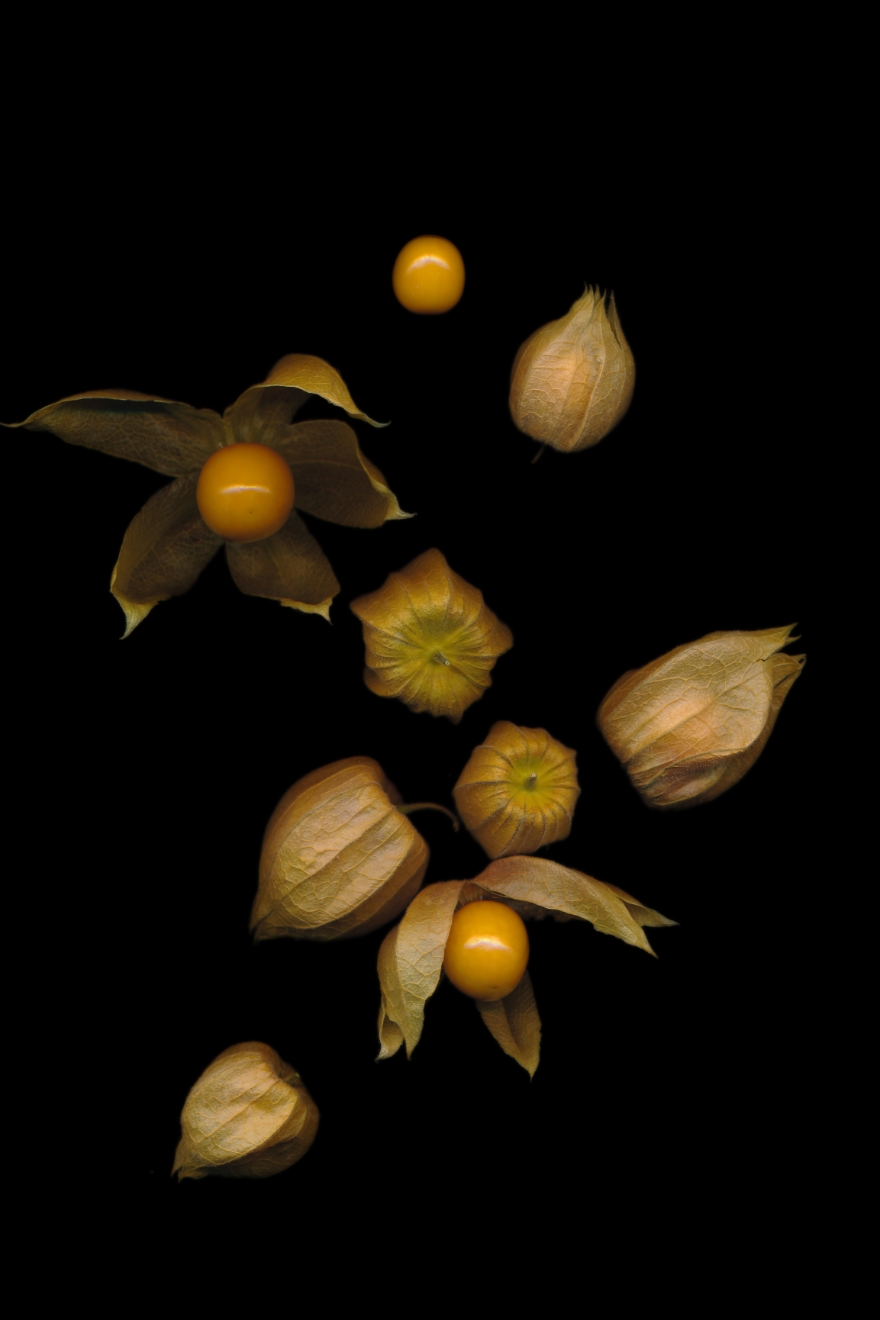 french food capital physalis