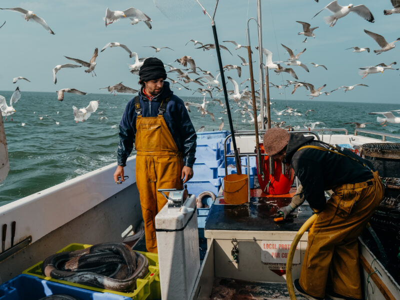 Les Comestibles vont à la pêche pour Horisis Conseil